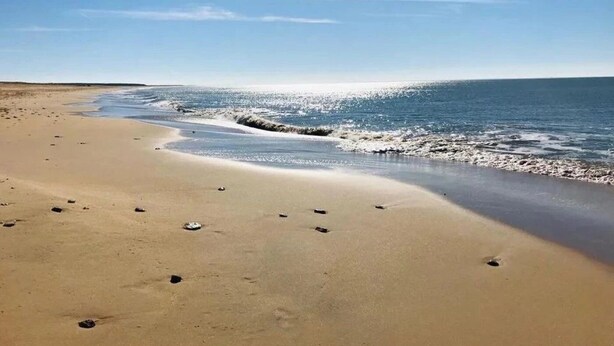 Una playa con cielo despejado, orilla de arena y olas suaves.