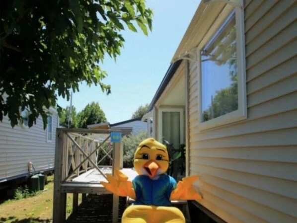 Imagen sin descripción, 1 de 19, botón