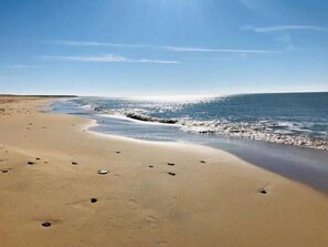 Uma praia com céu claro e mar calmo.