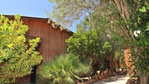 A wooden building with a stone pathway, surrounded by various green plants and trees.