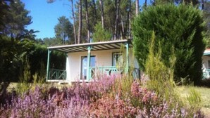 A small, single-story building with a covered porch, surrounded by dense trees and purple flowering plants. - ZEcamping 4 étoiles animaux acceptés tennis pataugeoire (Tamniès)