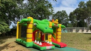 An inflatable dinosaur-themed play structure with a slide, set on a grassy area with trees in the background.