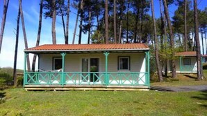 A single-story cabin with a porch, surrounded by tall trees. - ZEcamping 4 étoiles pataugeoire piscine chiens acceptés chalet TV 40m2 (Tamniès)