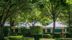 A building with a green and yellow facade, surrounded by lush greenery and trees.