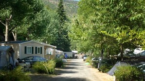 Parque para caravanas con varias caravanas estacionadas a lo largo de un camino de tierra, rodeado de vegetación densa y árboles.