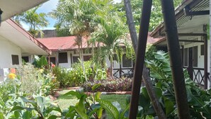 A courtyard with a variety of tropical plants, a tiled walkway, and a building with a red roof in the background. - Pension Bacolod (Bacolod)