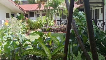 Jardín