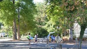 Ein Park mit Bäumen, einem gepflasterten Weg und Fahrrädern.