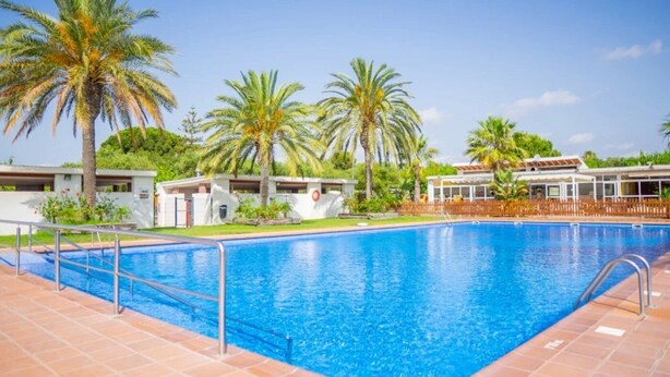 Una piscina rectangular con una escalera de metal, rodeada de palmeras y un cielo azul despejado.