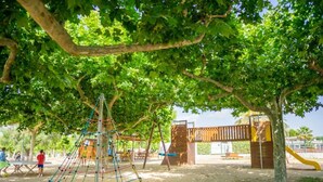 Un parque infantil con estructuras para escalar y un tobogán, rodeado de árboles.