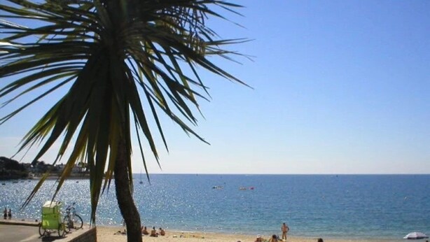 A beach with people walking and sitting, palm trees, and a clear sky.