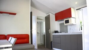 A compact living space with a kitchenette, a small dining area, and a shower.
