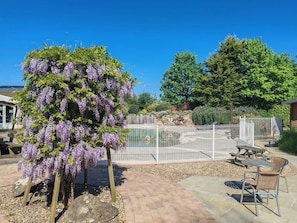 Un espacio exterior cercado con una pérgola cubierta de flores moradas, una piscina y mesas de picnic.