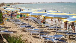 Una playa con filas de tumbonas y sombrillas, una orilla arenosa y el mar al fondo.