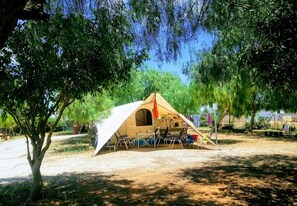 Property grounds - ZEcamping 3* pataugeoire bien-être locatif TV BBQ clim 30m2 4 pers (Marsala)