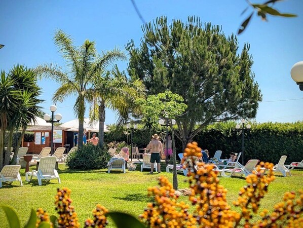 A sunny outdoor area with lounge chairs, a large tree, and a building in the background.