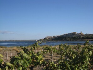 Miscellaneous - Proche de Narbonne, Maison de Village Avec Jardin au Bord de L'étang (Bages)