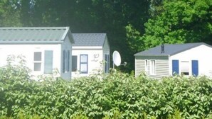 Une rangée de maisons mobiles, équipées d’antennes paraboliques, entourée d’une végétation luxuriante et d’un grand arbre.
