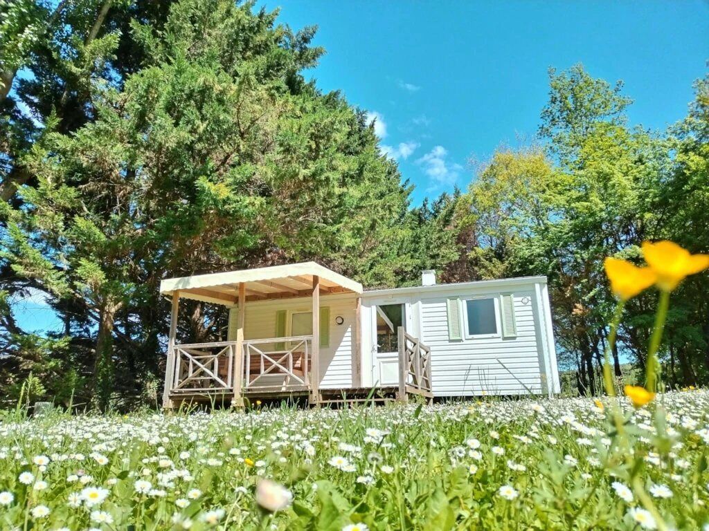 Eine kleine Holzhütte mit Veranda und Terrasse, umgeben von einem Feld weißer Blumen und hohen Bäumen.