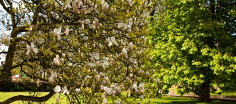 The Bullpen, Portclew Cottages