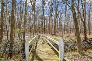 A wooden boardwalk leading through a forested area with trees and a bench. - Townhome with community pool, tennis court, and only 2 miles from Bethany Beach! (Frankford)