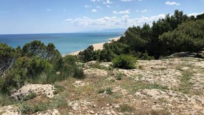 Un paisaje costero con playa, terreno rocoso y abundante vegetación.