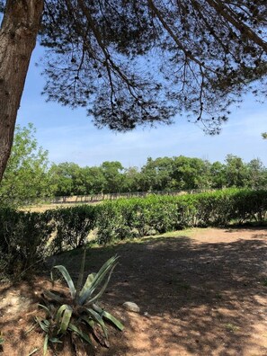 Overnattingsstedets uteområder