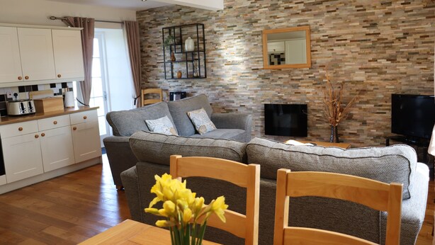 A modern living room with a grey sofa, wooden chairs, a dining table with a vase of flowers, a TV, and a fireplace.