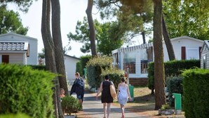 Un chemin bordé d’arbres et de petites maisons, ce qui laisse supposer qu’il s’agit d’un quartier résidentiel.