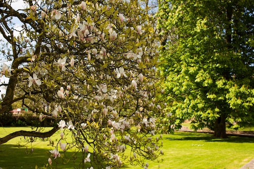 The Coach House, Portclew Cottages