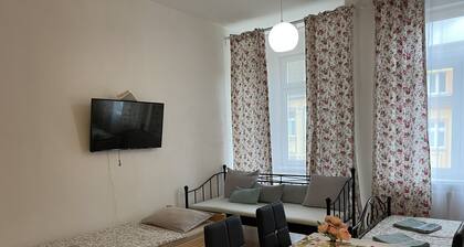 Sunny Apartment im Stadtzentrum am Park