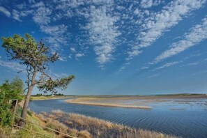 Imagen sin descripción, 5 de 21, botón