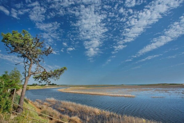 Eine natürliche Landschaft mit Baum, Gewässer und blauem Himmel.
