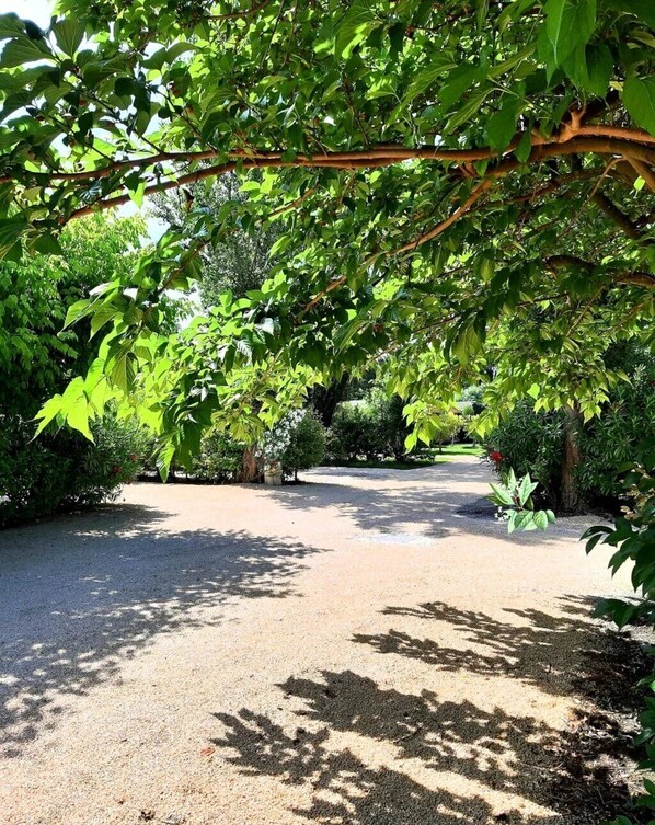 Property grounds - Camping 4 étoiles - Piscine  - eehf0d (Noves)