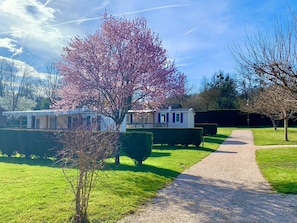 Ein Wohngebiet mit einem Schotterweg, einem Haus mit Veranda und einem Baum mit rosa Blüten.