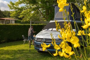 Property grounds - Camping 3 étoiles - Piscine  - eehgef (Castelnau-Picampeau)