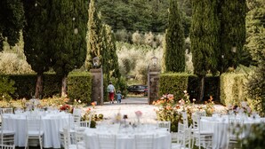 Un salón de bodas al aire libre con mesas y sillas redondas, un camino que conduce a un coche y altos árboles.