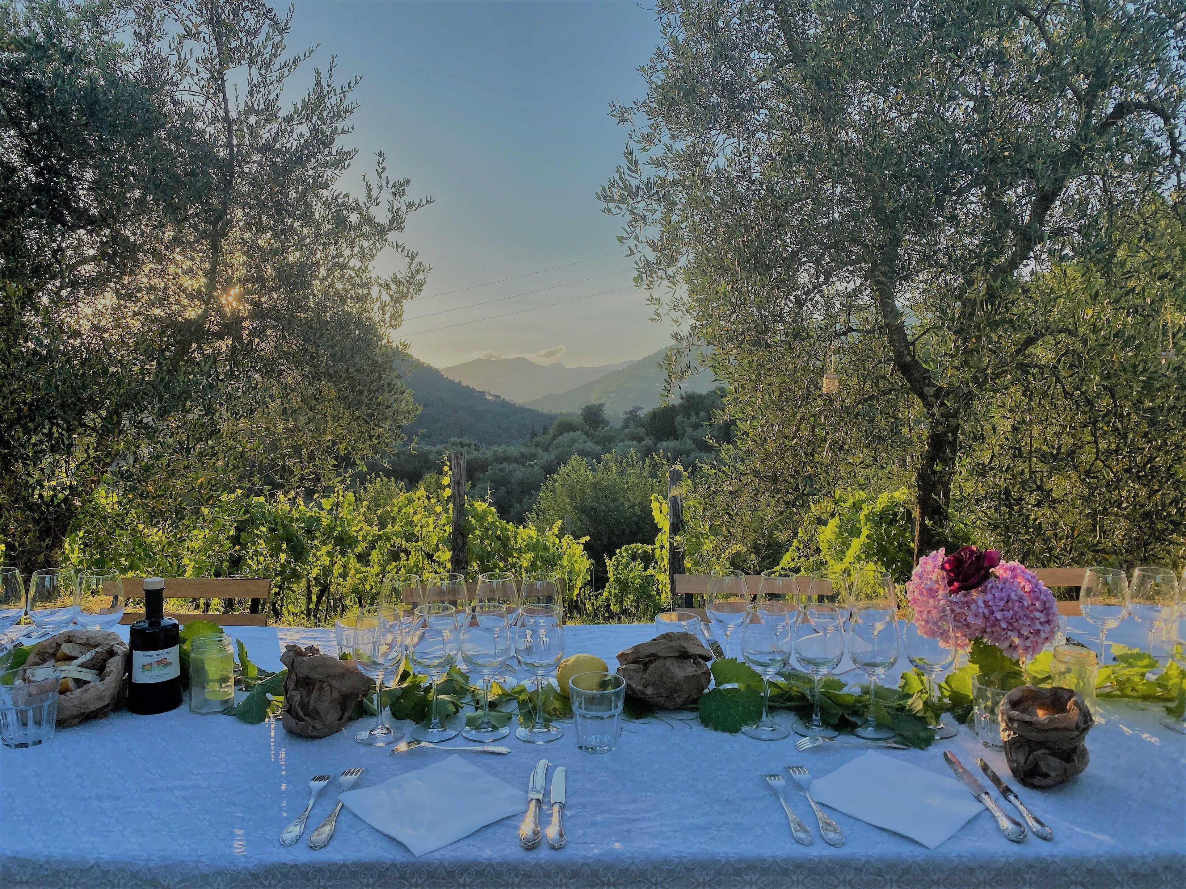 Photo - Tenuta di Tramonte