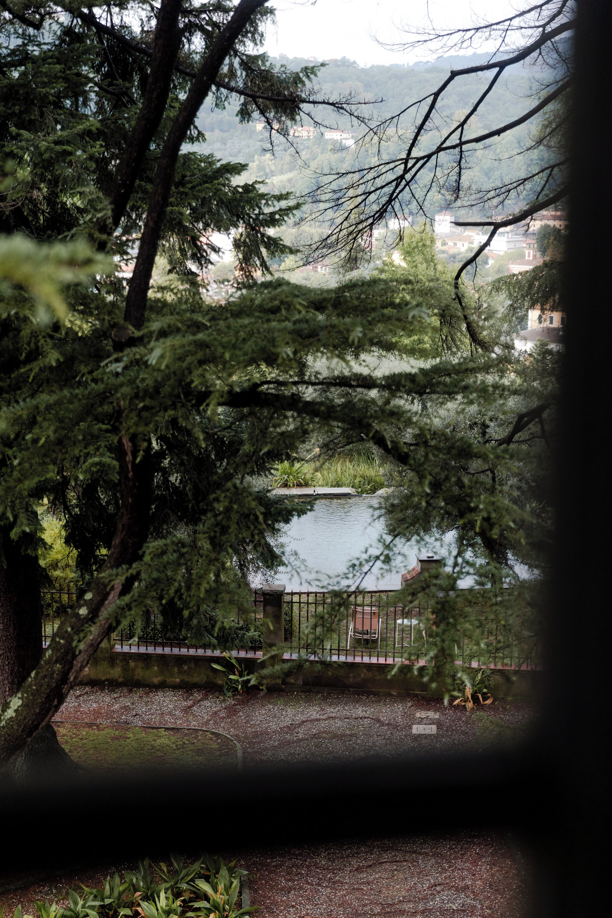 Foto - Tenuta di Tramonte