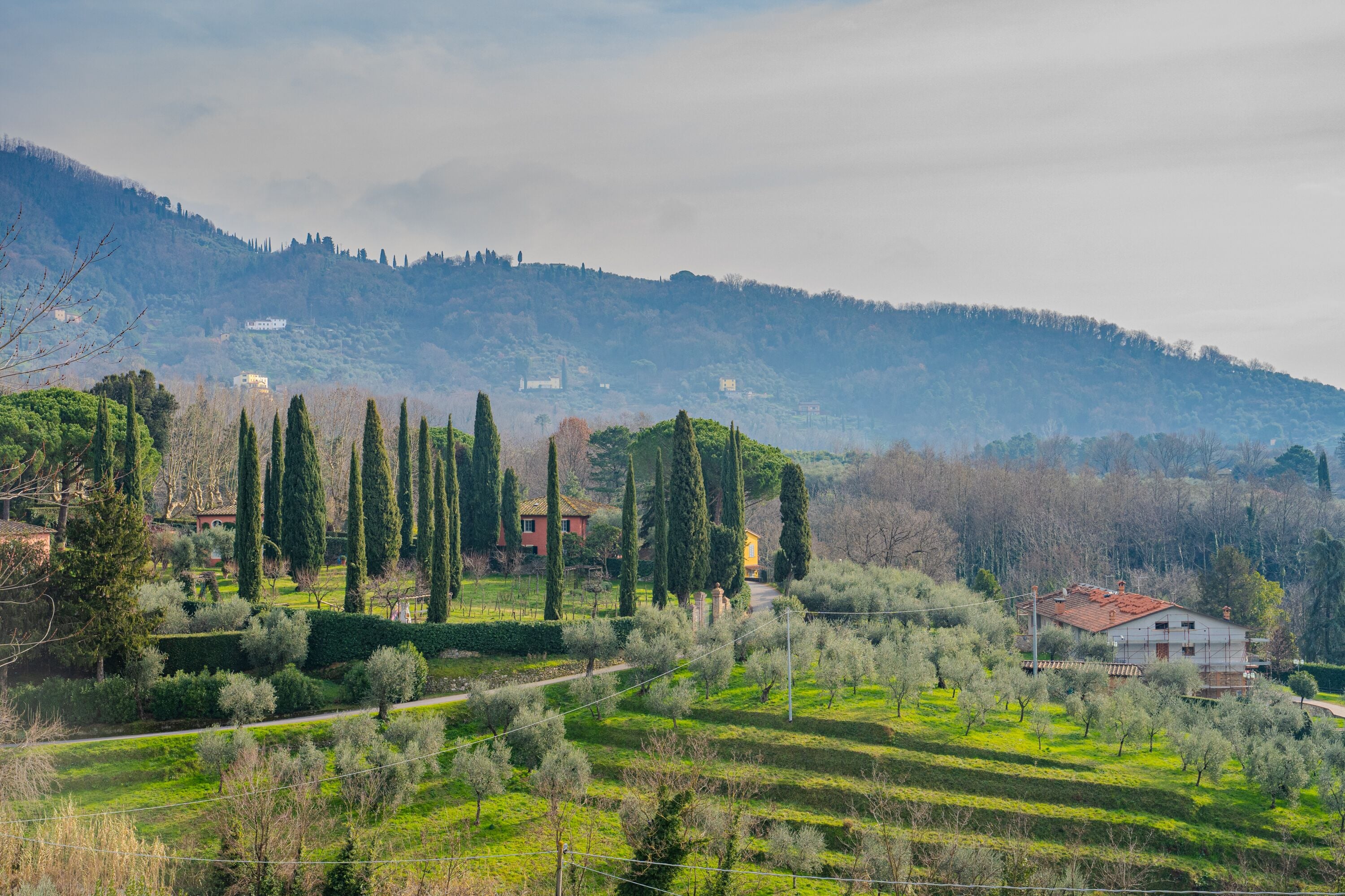 Photo - Tenuta di Tramonte