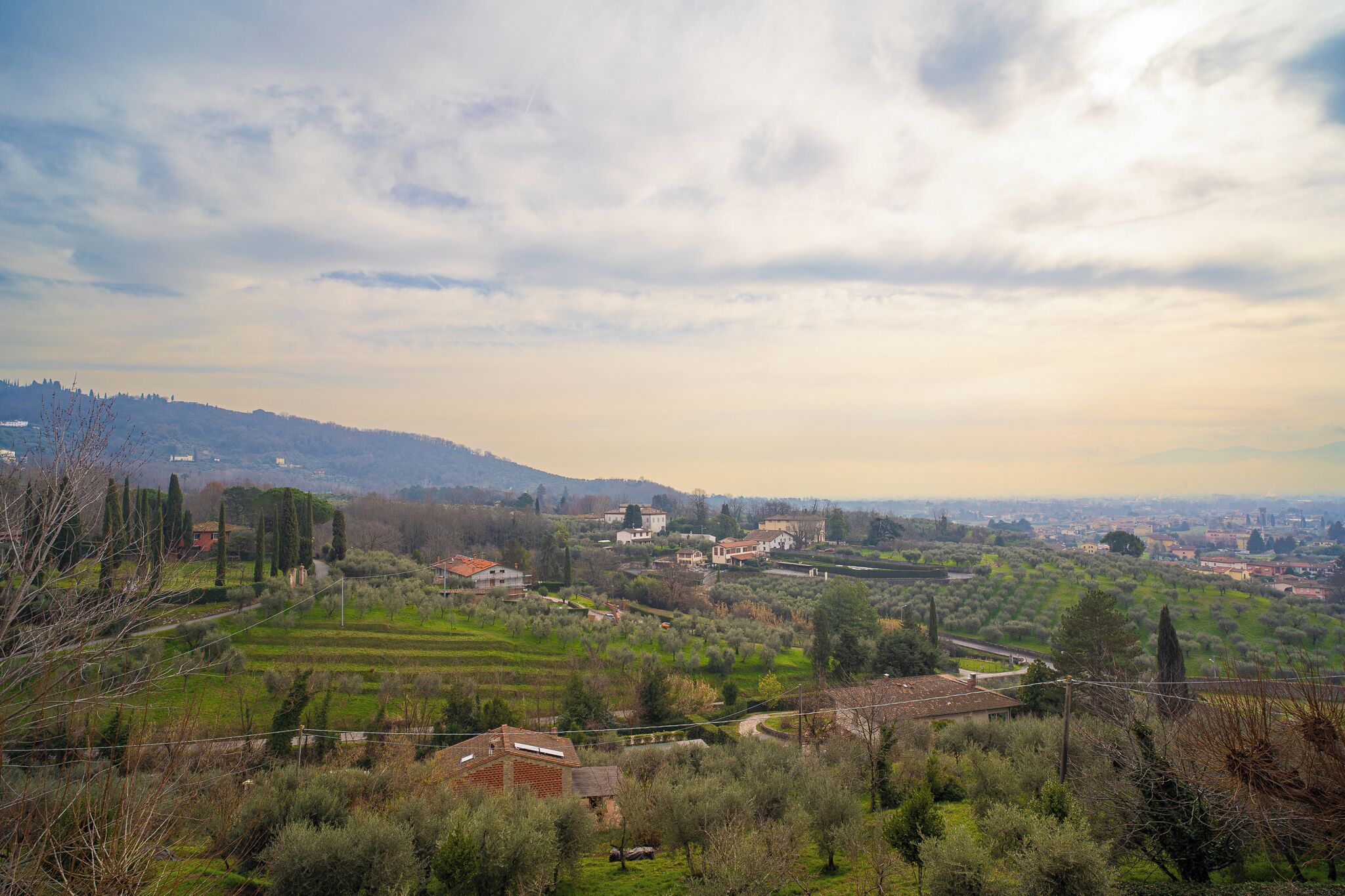 Un paysage rural caractérisé par des collines douces, des maisons éparses et une route sinueuse.