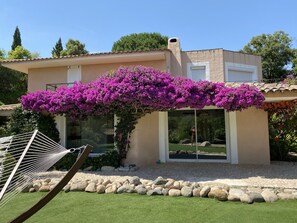 Exterior - Villa - Domaine Marina Di Fiori - Porto Vecchio - Corse (Porto-Vecchio)