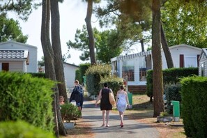 Un chemin bordé d’arbres et de petites maisons, ce qui laisse supposer qu’il s’agit d’un quartier résidentiel.
