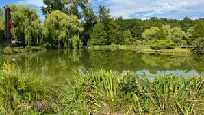 Ein ruhiger See, umgeben von üppigem Grün und Bäumen.
