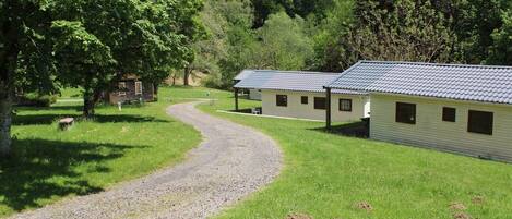 A gravel path leading to a row of cabins with a grassy field and trees in the background.