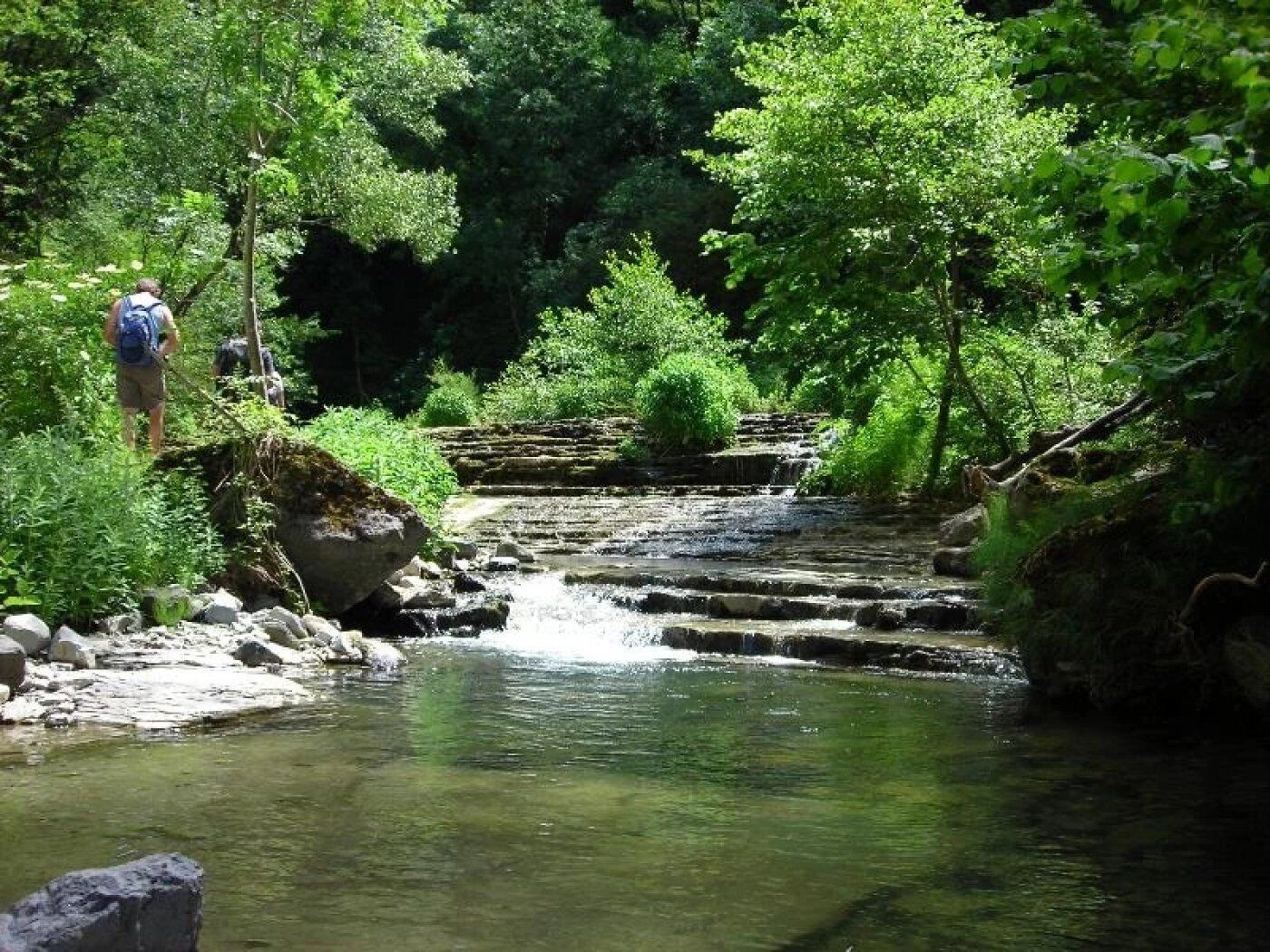 Entorno natural con un arroyo y escaleras que bajan hacia él.