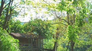 Una pequeña cabaña de madera rodeada de exuberante vegetación y árboles.