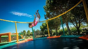 Un trampolín con red de seguridad y un árbol al fondo.