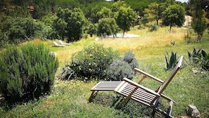 Un jardín con un banco de madera y una piscina.