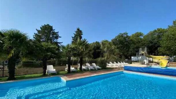 A swimming pool with clear blue water, surrounded by palm trees and lounge chairs.